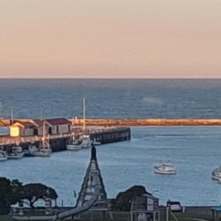 Oamaru Pink Cottage エクステリア 写真