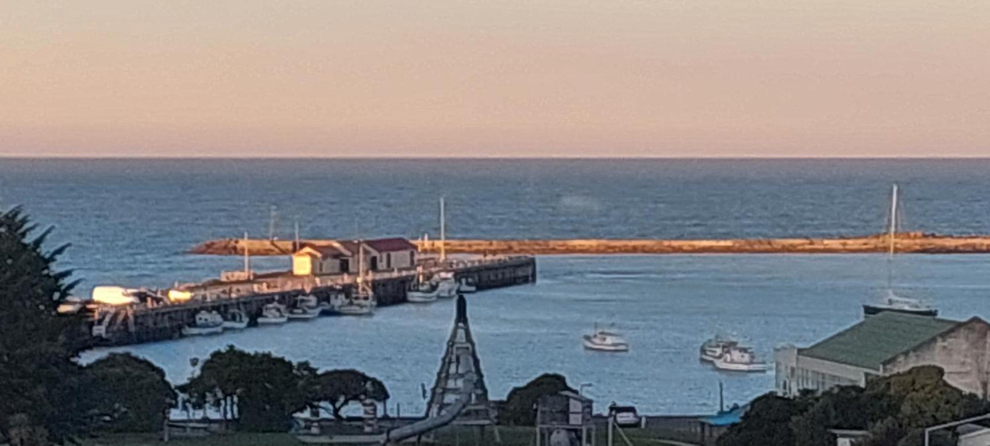 Oamaru Pink Cottage エクステリア 写真
